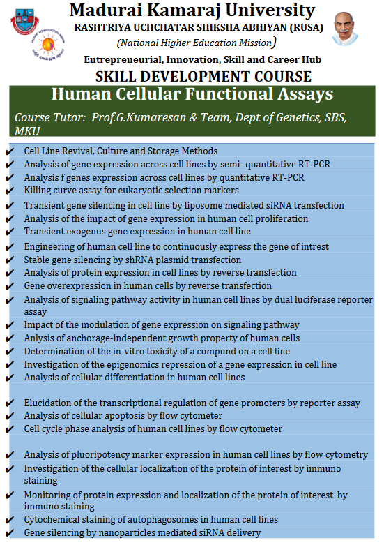 flyer-image